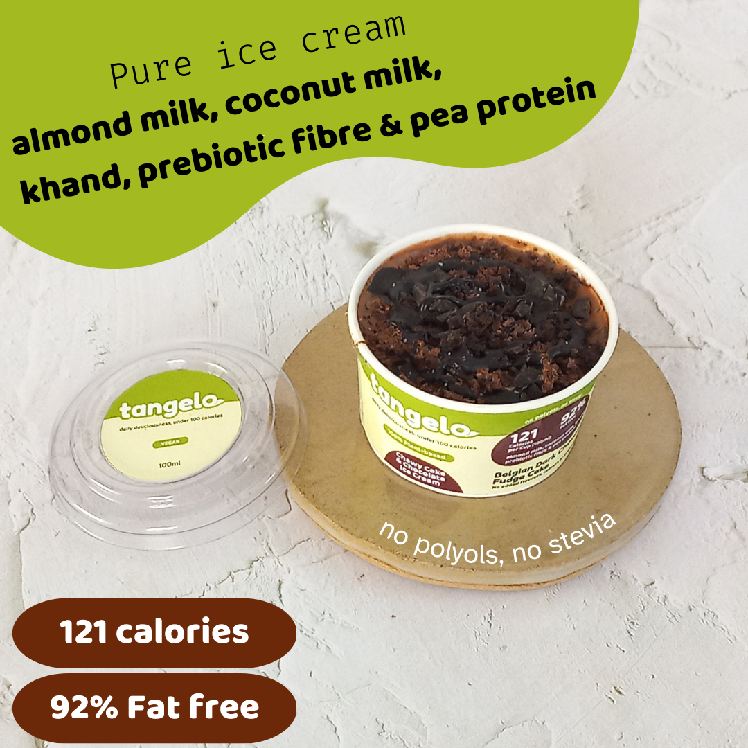 Belgian Dark Chocolate Fudge Cake (Vegan Sugar ice cream)