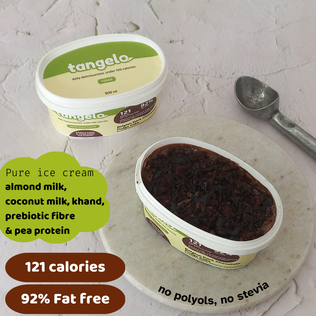 Belgian Dark Chocolate Fudge Cake tub (Vegan Sugar ice cream)