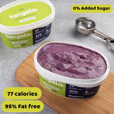 Blueberry (Vegan Sugar Free)